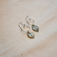 Leaf Moon Earring: Sterling Silver or Brass