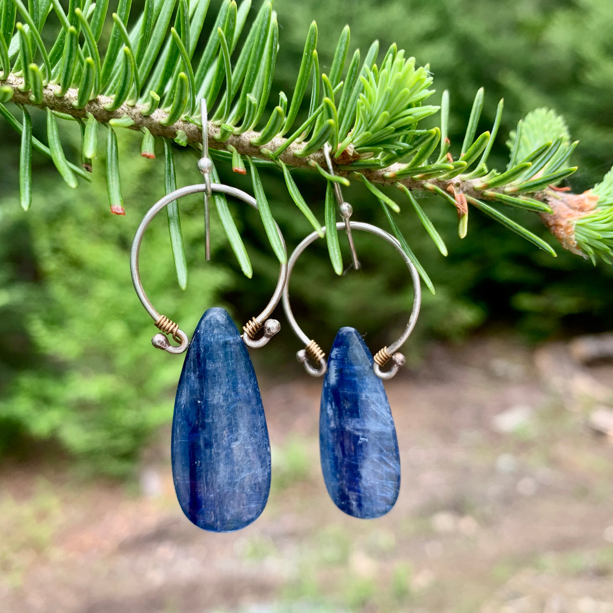 Handmade sterling silver hoop earrings with genuine blue kyanite flat drop and brass wire wrapping displayed on pine tree branch, artisan gemstone jewelry crafted in Vermont